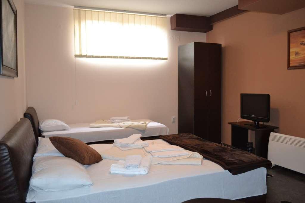 Guesthouse Vila Dnd Нишка-Баня Номер фото